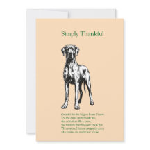 Tack Sam – Stor Danne Thanksgiving Foto Ca