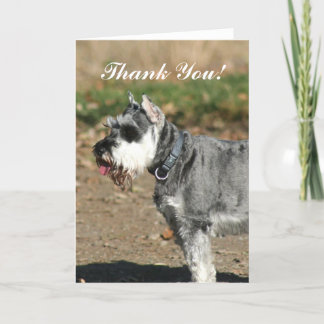 Tack Schnauzer-hälsningskort för hund Kort