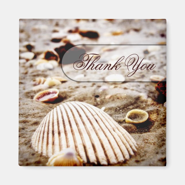 Tack Seashells Beach Magnet (Framsidan)