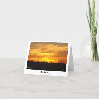 Tack - skussetstrand