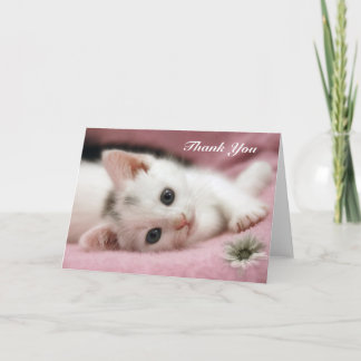 Tack Snö White Kort