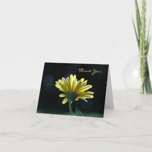Tack Solbelyst Gult Daisy Vackra blommor Kort