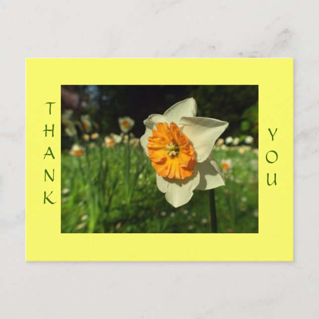 Tack - solblankt blomsterkort vykort (Framsida)