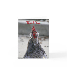 Tack som är tomt, tupp