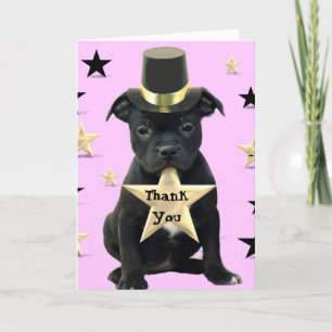 Tack Stafford Bull Terrier-kort Kort