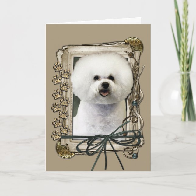 Tack - stentassar - Bichon Frise Kort (Framsida)