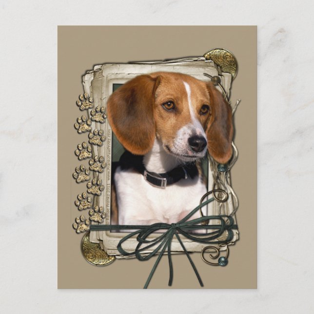 Tack - Stone Tassar - Beagle Vykort (Framsida)