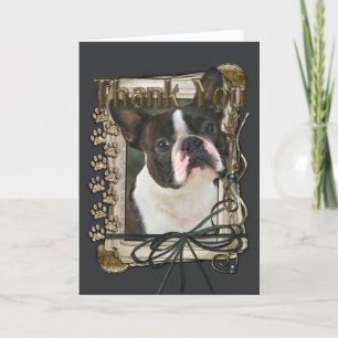 Tack - Stone Tassar - Boston Terrier Kort