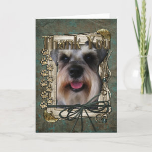 Tack - Stone Tassar - Schnauzer Kort