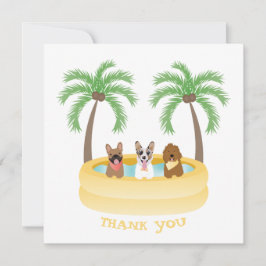 Tack Summer Hundar Swimming Bassäng