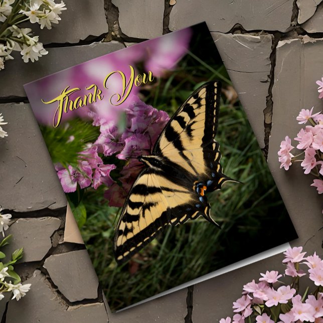 Tack Swallowtail Butterfly Rosa Summer Blommigt OBS Kort (Pretty Tiger Swallowtail butterfly garden thank you card nature photo with pink flowers)