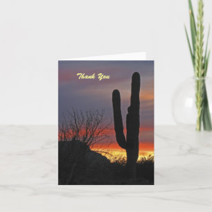Tack Sympathy Saguaro Cactus Sunset Note Card Kort