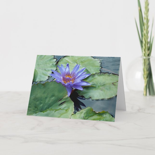 Tack! Tack Kort (Framsida)