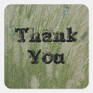 Tack Tall Desert Grass-uppskattning Fyrkantigt Klistermärke