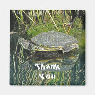 Tack Turtle Photo with Reflature of Reflature Magnet