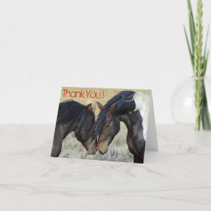 Tack. Två bruna Vild Horses Nuzzling Tack Kort