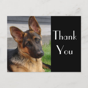 Tack Tyskt vykort för Hund av shepherd Puppy