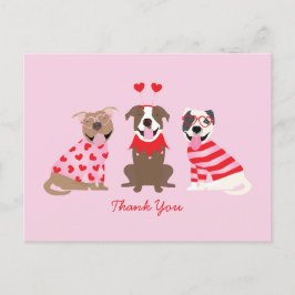 Tack Valentines Day Amerikansk Pit Bull Terrier Vykort