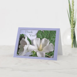 Tack Valfri Tillfälle White Hibiscus Flowers Kort