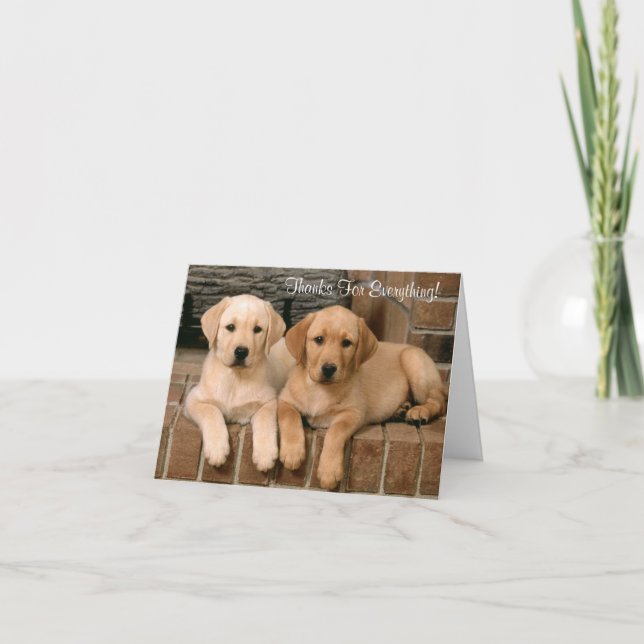 Tack vare Labrador Retriever-valpar för hälsning Kort (Framsida)