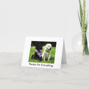 Tack vare Labrador Retriever-valpar för hälsning Kort