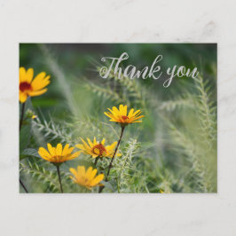 Tack vare vykort eller Använda din egen känsla