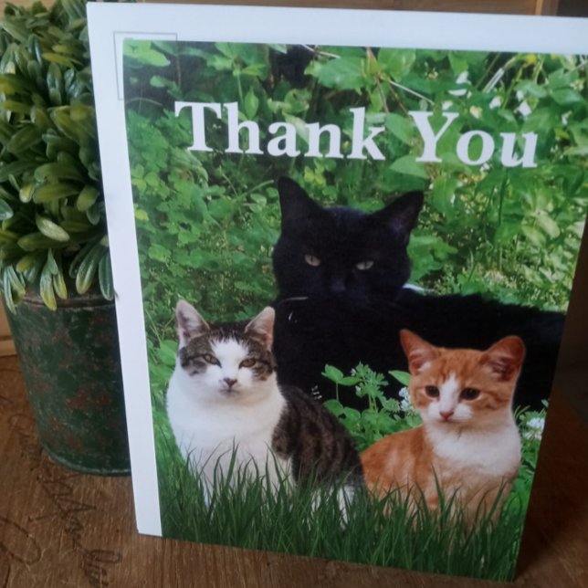 Tack Veterinär med Grattiskort (Skapare uppladdad)