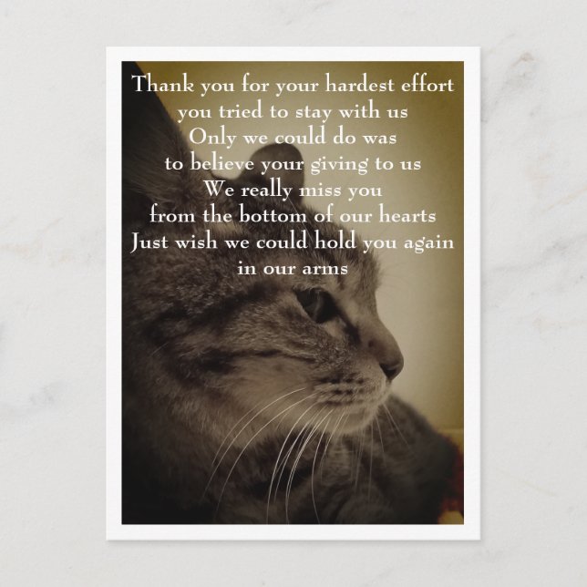 Tack & Vila i frid  Vykort (Framsida)