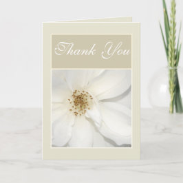 "Tack" vit beige blomma blom- rose Tack Kort