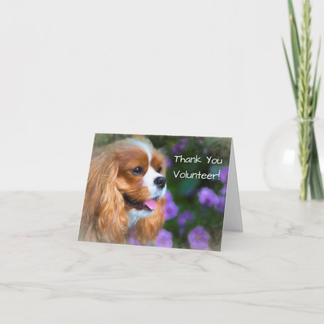Tack volontär Cavalier King Charles Spaniel Kort (Framsida)