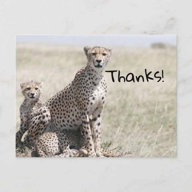 Tack Vykort (Framsida)