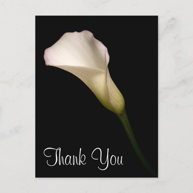 Tack Vykort (Framsida)