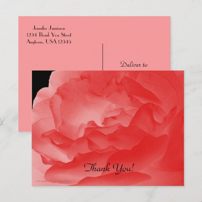 Tack vykort, koral Rosa ros Petals Vykort (Fram/baksida)
