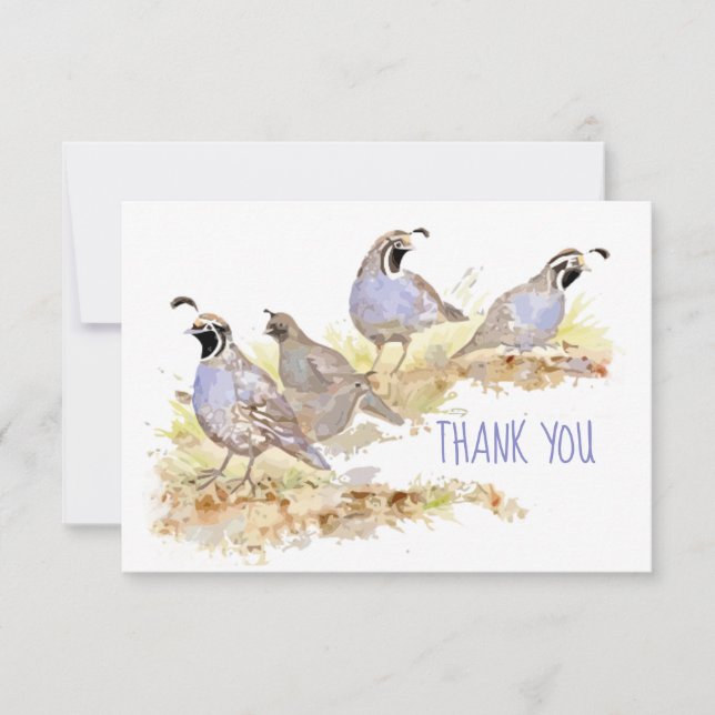 Tack Watercolor California Quail Blank Inside (Framsida)