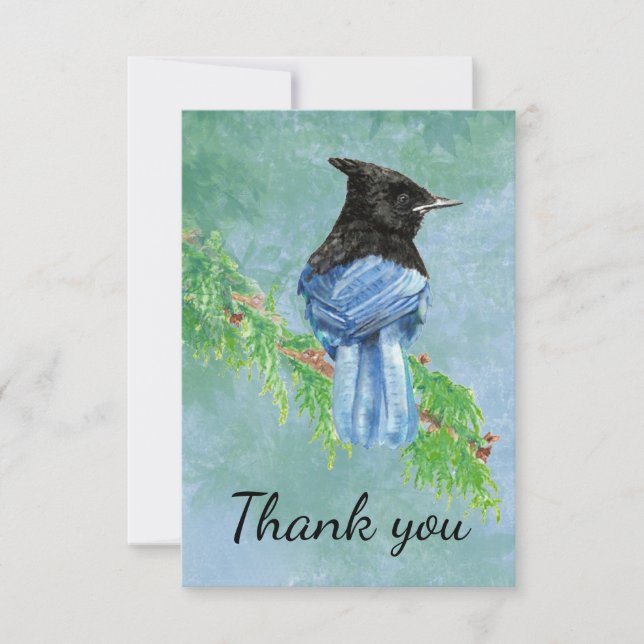 Tack Watercolor Stellar Jay Bird (Framsida)