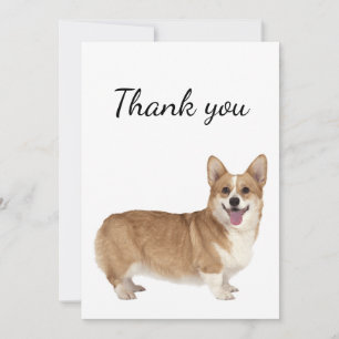 Tack Welsh Corgi Hund Pet Animal Kort