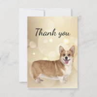 Tack Welsh Corgi Hund Pet Animal