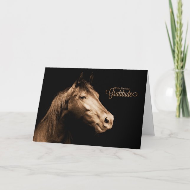 Tack Western Sepia Toned Horse Blank Kort (Framsida)
