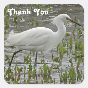 Tack White Egret Benice Animal Wading Bird Fyrkantigt Klistermärke