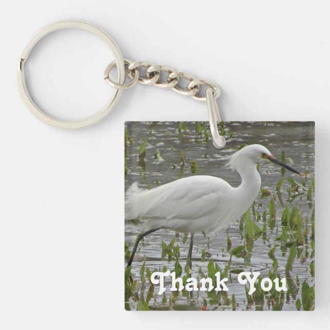 Tack White Egret Photo Bird Apprecision (Framsidan)