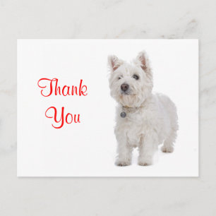 Tack White Westie Puppy Hund Hälsning vykort