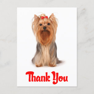 tack Yorkshire Terrier Puppy Hund Postcard Vykort