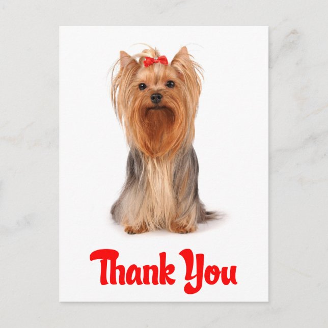 Tack Yorkshire Terrier Puppy Hund Postcard Vykort (Framsida)