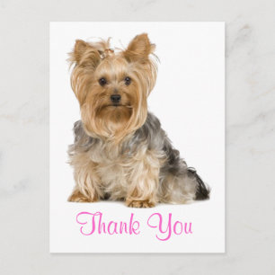 tack Yorkshire Terrier Puppy Hund Postcard Vykort