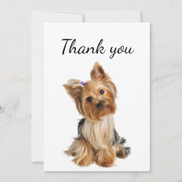 Tack Yorkshire Terrier Yorkie Hund Pet Animal