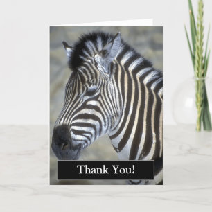 Tack Zebra-kort Kort