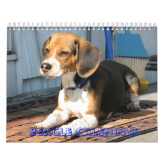 täcka Beaglekalendern Kalender