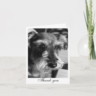 Tacka dig (Charmin) Tack Kort