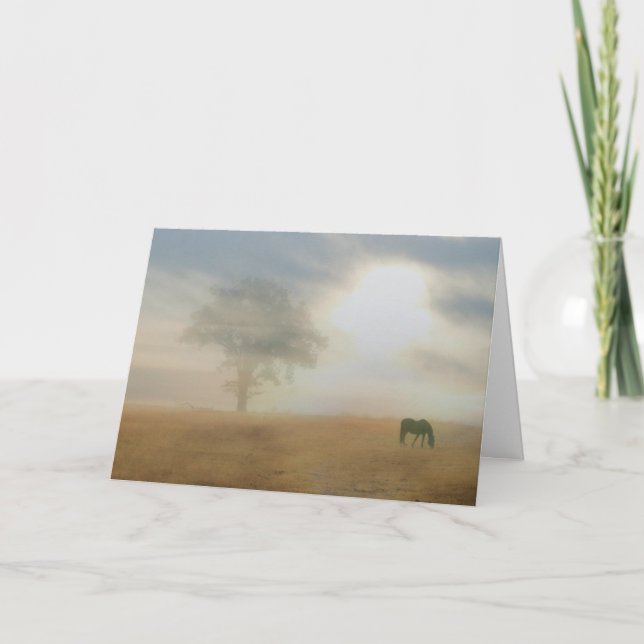 Tacka dig för ditt sympatihäst- och solkort tack kort (Framsida)