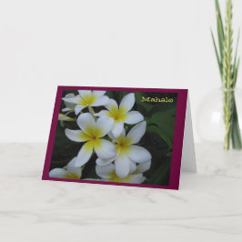 Tacka dig (Mahalo) att card - vitplumeriakaskaden Tack Kort